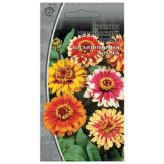 Семена цветов семена Цинния Персидский ковер 0,2г