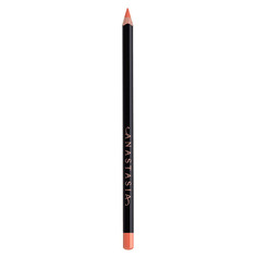 MATTE&amp; SATIN LIP LINER Карандаш для губ Anastasia Beverly Hills
