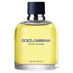 POUR HOMME Туалетная вода Dolce & Gabbana