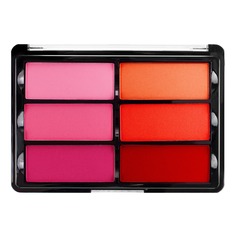 Pro Slim Rose Coral Палетка румян Viseart