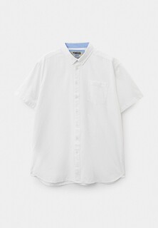 Рубашка D555 JAMES