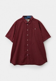 Рубашка D555 DUNSTABLE