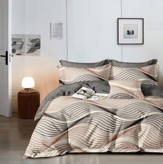 Постельное белье 2-х сп Евро (2 нав. 70х70) Viola’