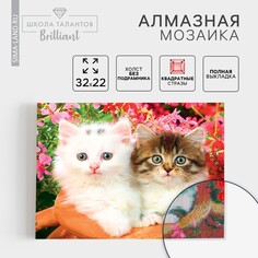 Алмазная мозаика с полным заполнением на холсте Школа талантов