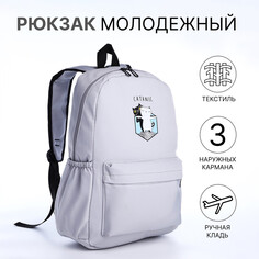 Рюкзак школьный из текстиля на молнии, 3 кармана, цвет серый NO Brand