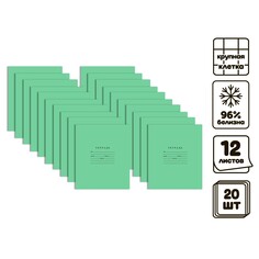 Комплект тетрадей из 20 штук, 12 листов в крупную клетку бумажная фабрика Calligrata