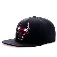 Кепка Chicago Bulls Mitchell and Ness