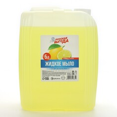 Мыло жидкое кухонное, 5 л (5000 мл), аромат лимона и лайма, русская выгода NO Brand