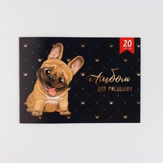 Альбом для рисования на скрепке а4, 20 листов NO Brand