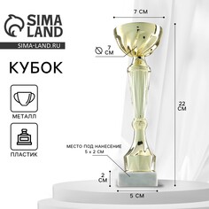 Кубок 151с, наградная фигура, золото, подставка камень, 22 х 7 х 5 см. Командор
