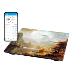 Напольные весы STINGRAY Весы напольные электронные умные ST-SC5002B