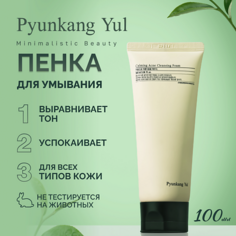 Пенка для снятия макияжа PYUNKANG YUL Пенка для умывания 100.0