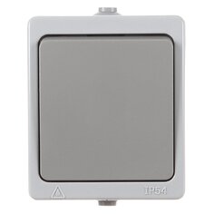 Выключатель открытой установки, одноклавишный, без заземления, 10 А, IP54, серый, TDM Electric, Вуокса, SQ1803-0001