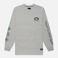 Мужской лонгслив Evisu Seagull Printed, цвет серый
