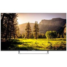 Телевизор POLARLINE 55PU11TC-SM LED 55" черный 4K Ultra HD 50Hz DVB-T DVB-T2 DVB-C WiFi Smart TV (RUS)