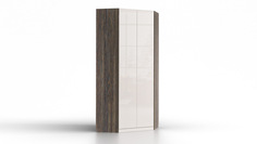 Шкаф угловой 1 Space Solutions, цвет Венге Аскона