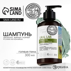 Шампунь для волос с голубой глиной, питание и оъем, 300 мл, eco lab by ural lab