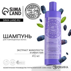 Шампунь для волос, с экстрактом жимолости и иван-чая, восстановление и рост, 410 мл, ural lab