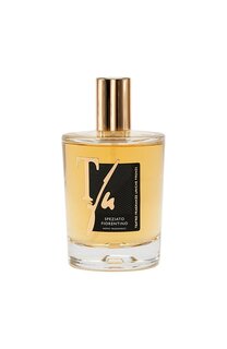 Спрей для дома Speziato Fiorentino (100ml) TEATRO