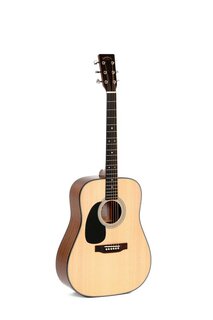 DM-1L Sigma