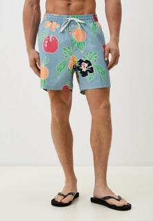 Шорты для плавания Vans PRIMARY PRINT ELASTIC BOARDSHORT