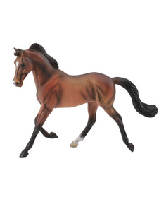 Чистокровная гнедая кобыла, XL Collecta