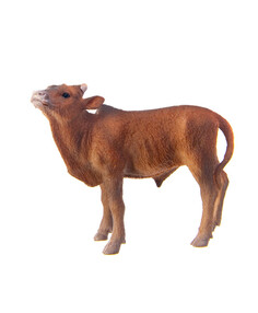 Телёнок Анколе-Ватуси, S Collecta