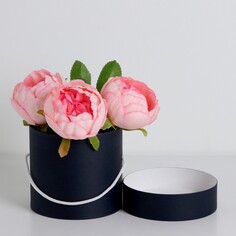 Подарочная коробка, круглая, черная,с шнурком, 12 х 12 см NO Brand