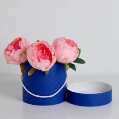 Подарочная коробка, круглая, синяя,с шнурком, 12 х 12 см NO Brand