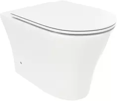 Унитаз приставной Cerutti Spa Adige F CT8907 безободковый, с сиденьем микролифт, белый
