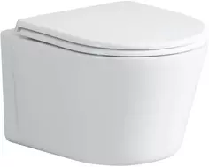 Унитаз подвесной Cerutti Spa Santa Aria CT9666 безободковый, с сиденьем микролифт, белый