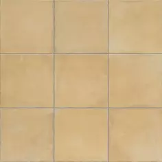 Керамогранит Mainzu Nostalgy Honey 20x20