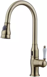 Смеситель для кухни Kaiser Vincent 31366-1