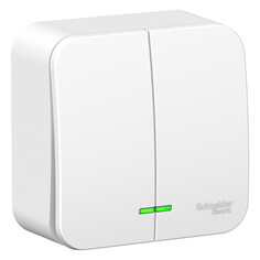 Выключатели накладные выключатель 2-клавишный SCHNEIDER ELECTRIC Blanca 10A с/и белый