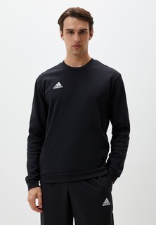 Свитшот adidas ENT22 SW TOP