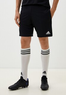 Шорты спортивные adidas ENT22 TR SHO