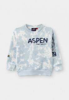 Свитшот Aspen Polo Club 