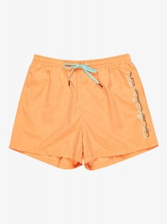 Мужские Пляжные шорты Behind Waves 15" Quiksilver
