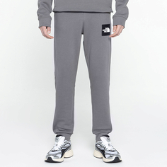 Мужские брюки Мужские брюки Fine Alpine Pant The North Face