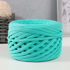 Трикотажная пряжа, ширина 7-9 мм, 100м/295 гр±10% (29 - ментол) Softino
