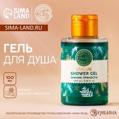 Гель для душа, 100 мл, аромат зимних пряностей, ural lab