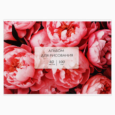 Альбом для рисования на склейке а4, 40 листов NO Brand