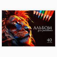 Альбом для рисования на склейке а4, 40 листов NO Brand