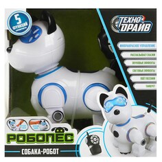 Робот на батарейках ТЕХНОДРАЙВ B2024134-R