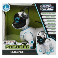 Робот на батарейках ТЕХНОДРАЙВ 1704B206-R