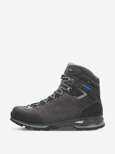Ботинки мужские Lowa Santiago GTX, Серый