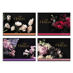 Альбомы для рисования альбом для рисования BG Night flowers 40л А4