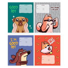Тетради тетрадь 12л MESHU Good boy А5 клетка