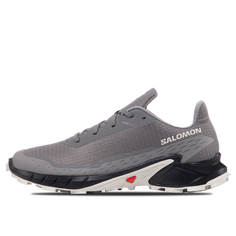 Мужские кроссовки Alphacross 5 Salomon