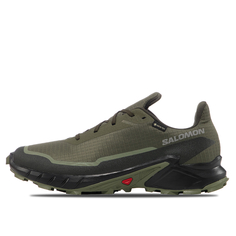 Мужские кроссовки Alphacross 5 Salomon